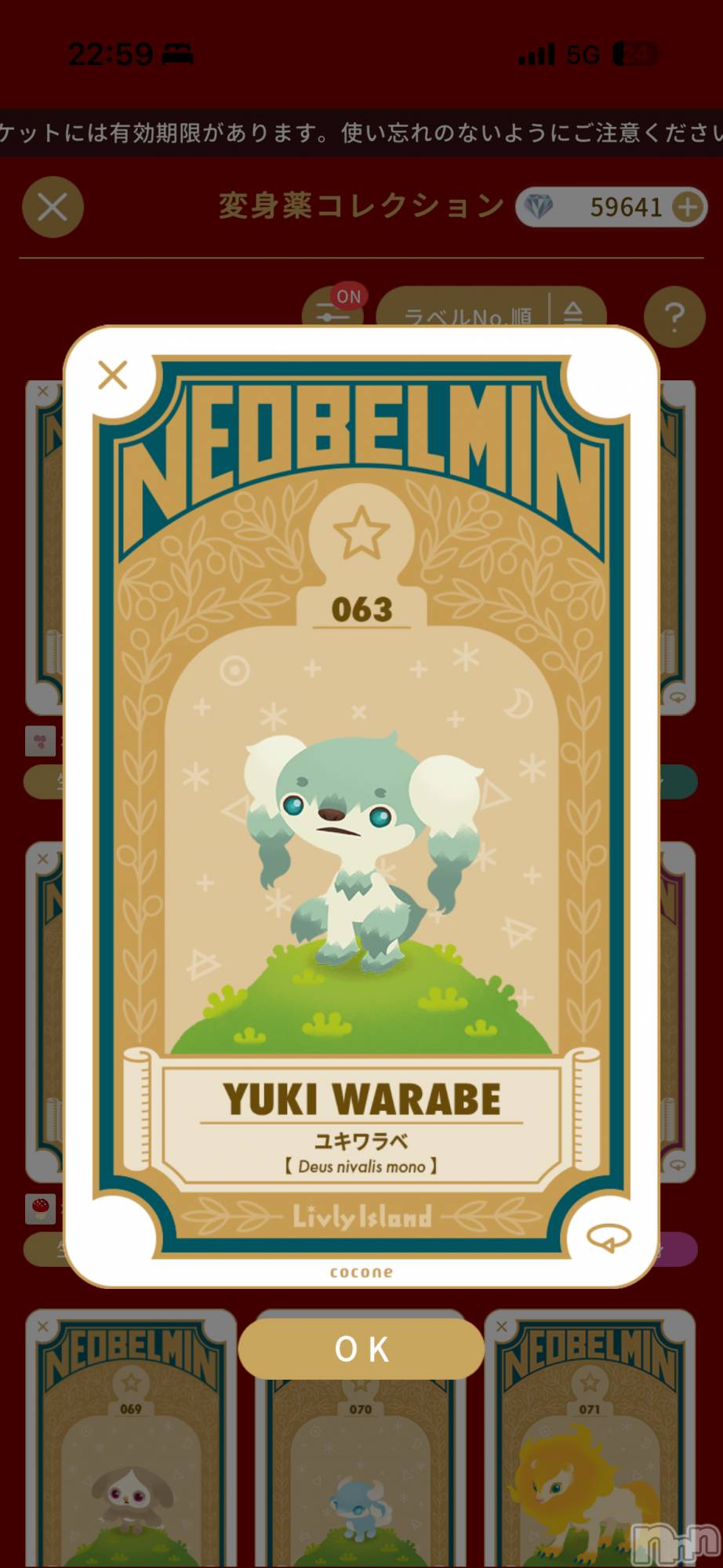 ��Į����Х��顦����֥���� �ץ���� ����(����� �ץ���� ������) ��2026ǯ2��20���̥�֥����ֿ������ҡ���