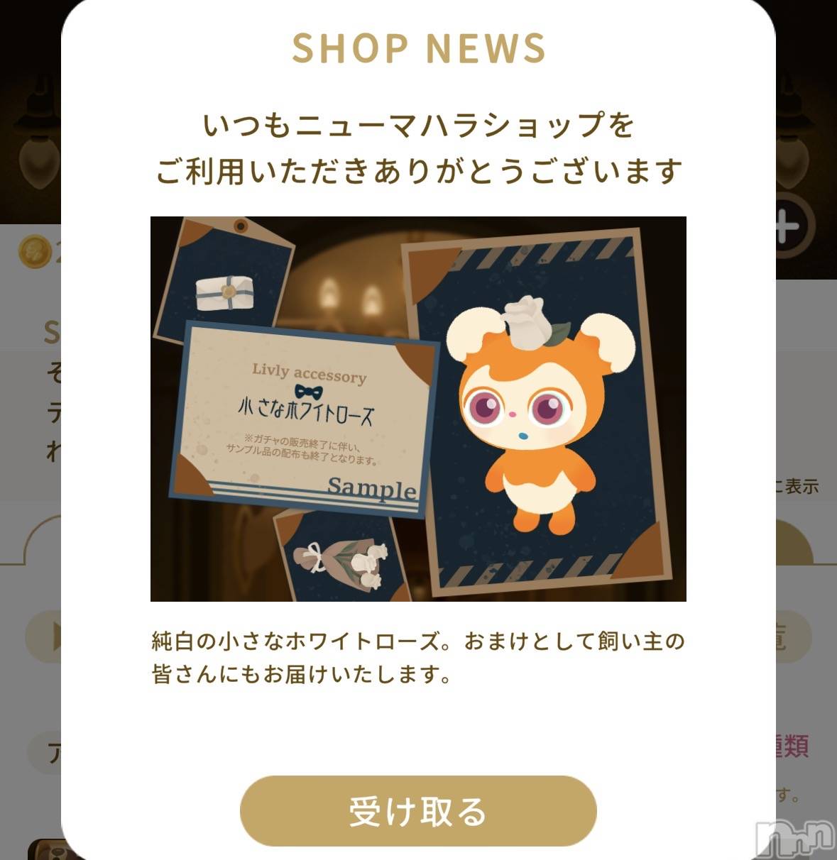 ��Į����Х��顦����֥���� �ץ���� ����(����� �ץ���� ������) ��2026ǯ3��8���̥�֥����֥ץ쥼���- ̗̀🎁 ̖́-��