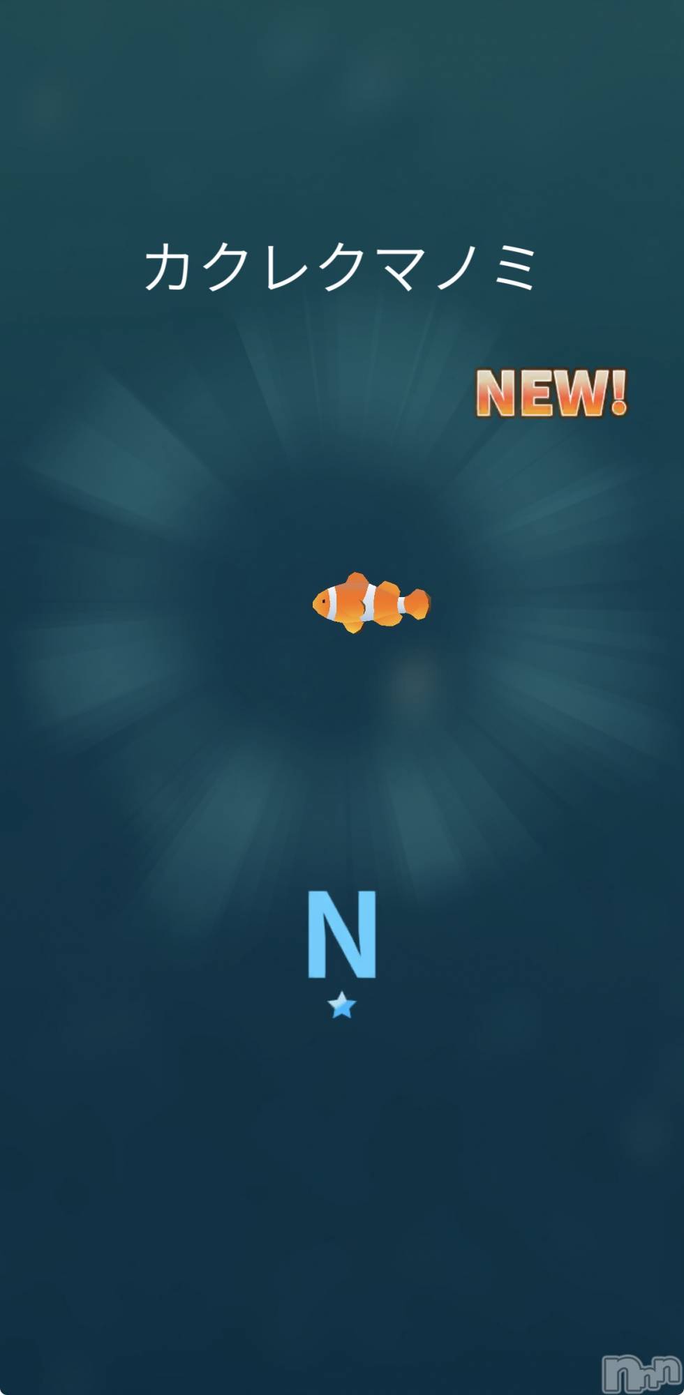 ��Į����Х��顦����֥���� �ץ���� ����(����� �ץ���� ������) ��2026ǯ3��20���̥�֥����ֿ��������������줿��