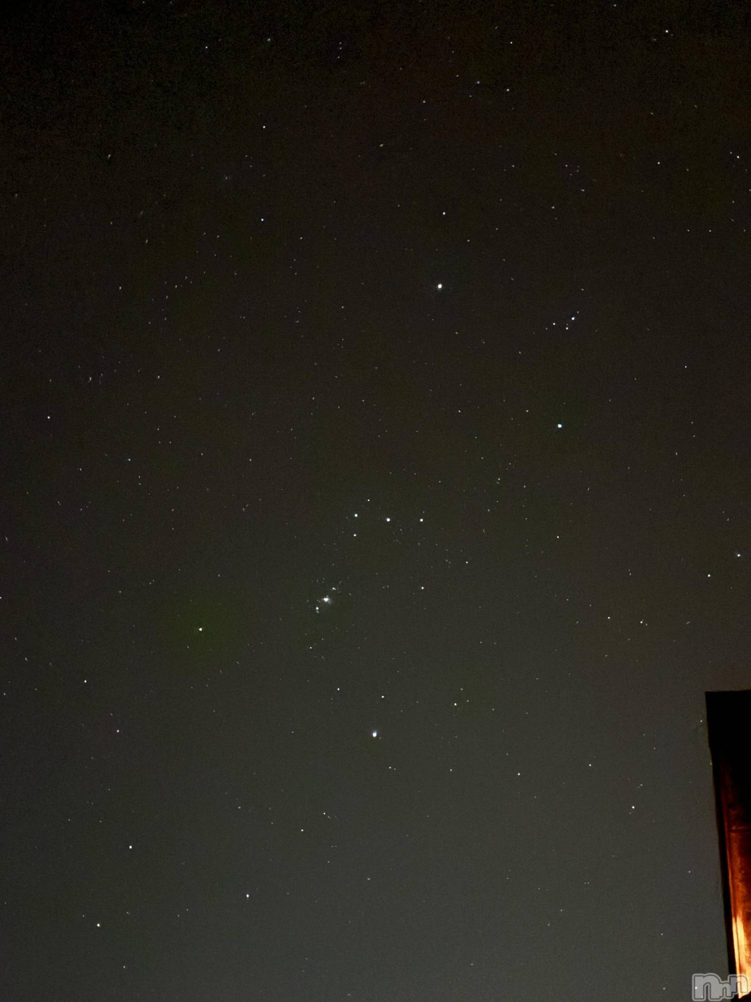 ��Į����Х��顦����֥���� �ץ���� ����(����� �ץ���� ������) ��2026ǯ3��20���̥�֥����֥��ꥪ���✨��