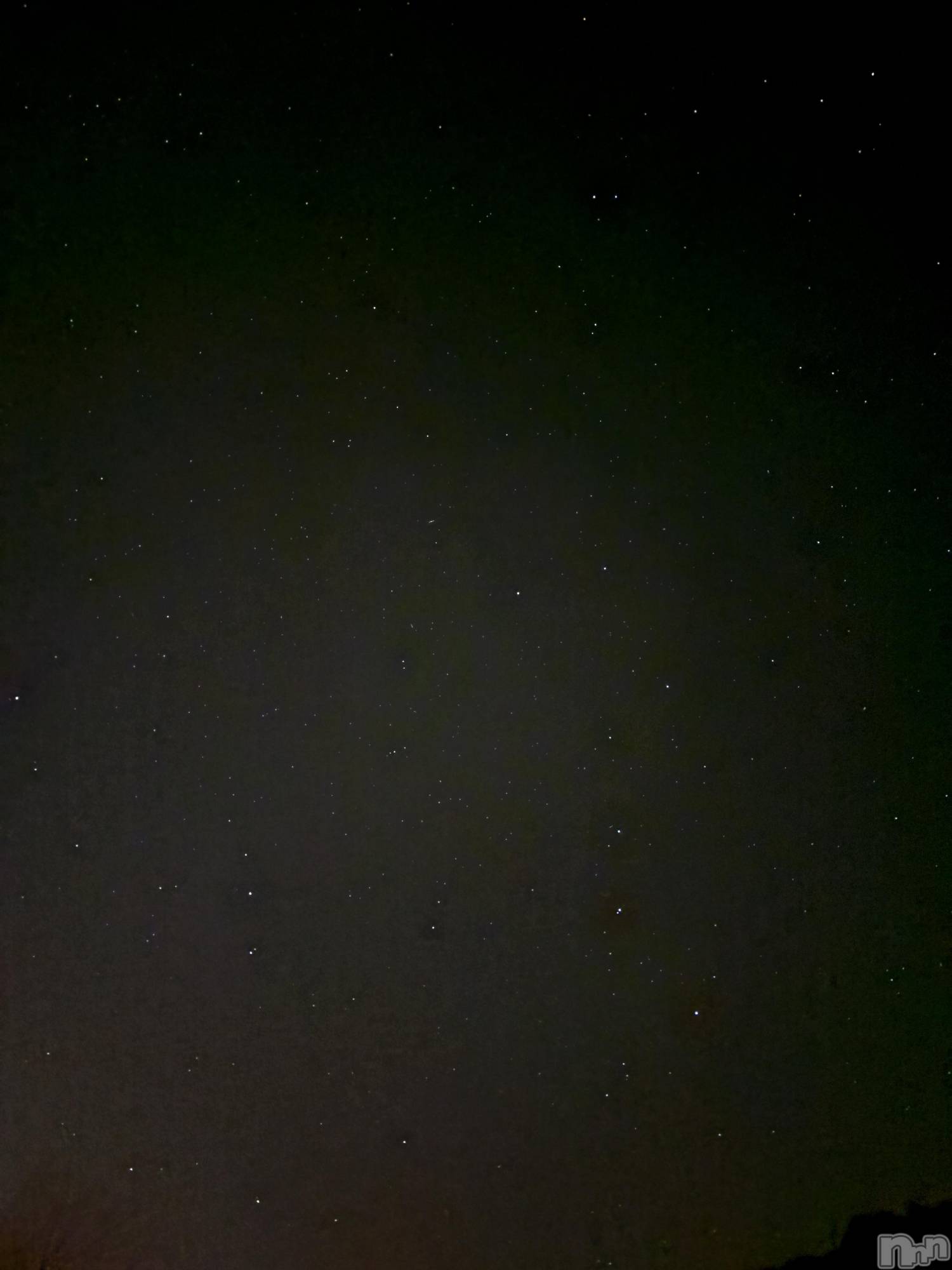 ��Į����Х��顦����֥���� �ץ���� ����(����� �ץ���� ������) ��2026ǯ3��21���̥�֥��������ͼ���������