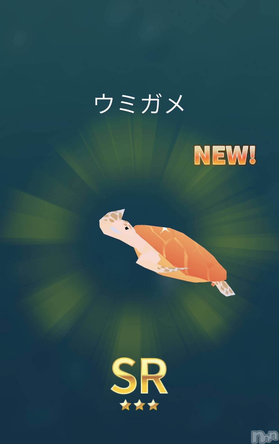 ��Į����Х��顦����֥���� �ץ���� ����(����� �ץ���� ������) ��2026ǯ3��22���̥�֥����ֶ⿧����🥚��