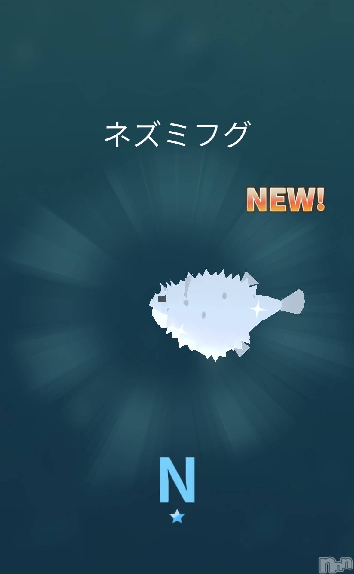 ��Į����Х��顦����֥���� �ץ���� ����(����� �ץ���� ������) ��2026ǯ3��23���̥�֥�����̾���Ф���