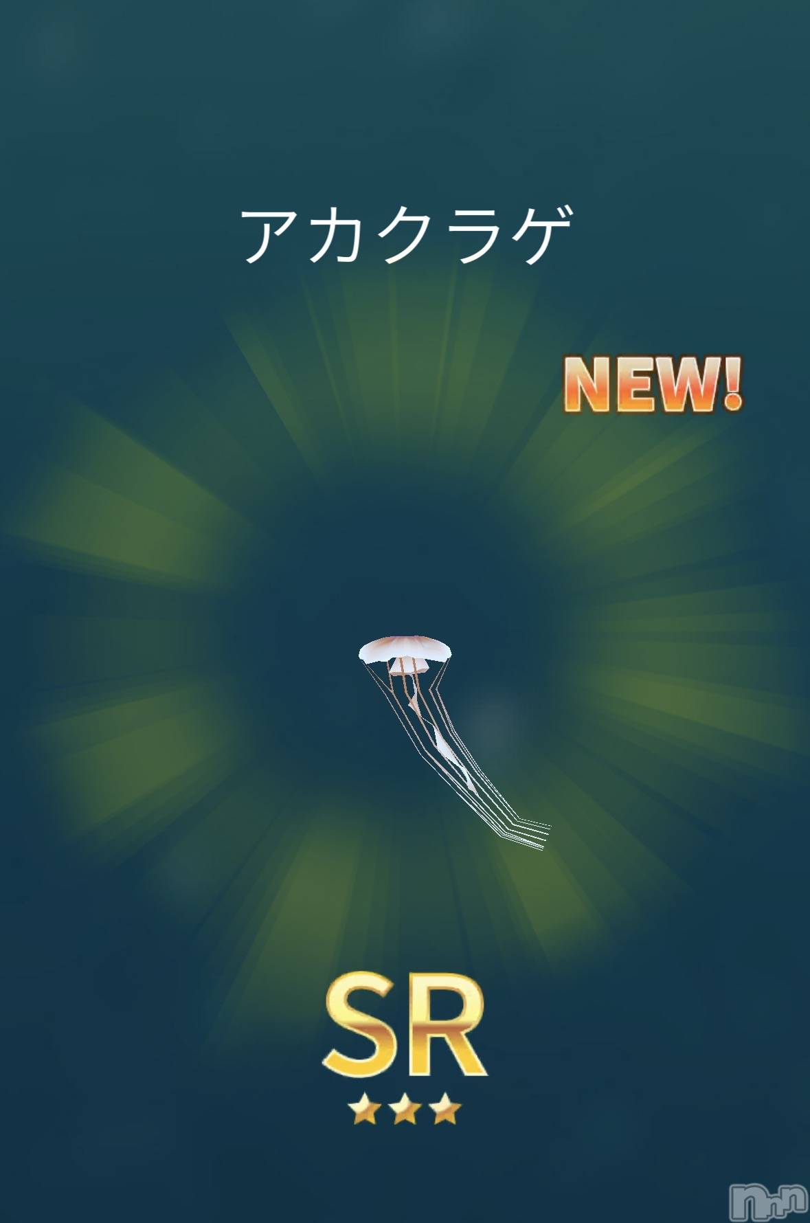 ��Į����Х��顦����֥���� �ץ���� ����(����� �ץ���� ������) ��2026ǯ3��24���̥�֥����֤��襤����