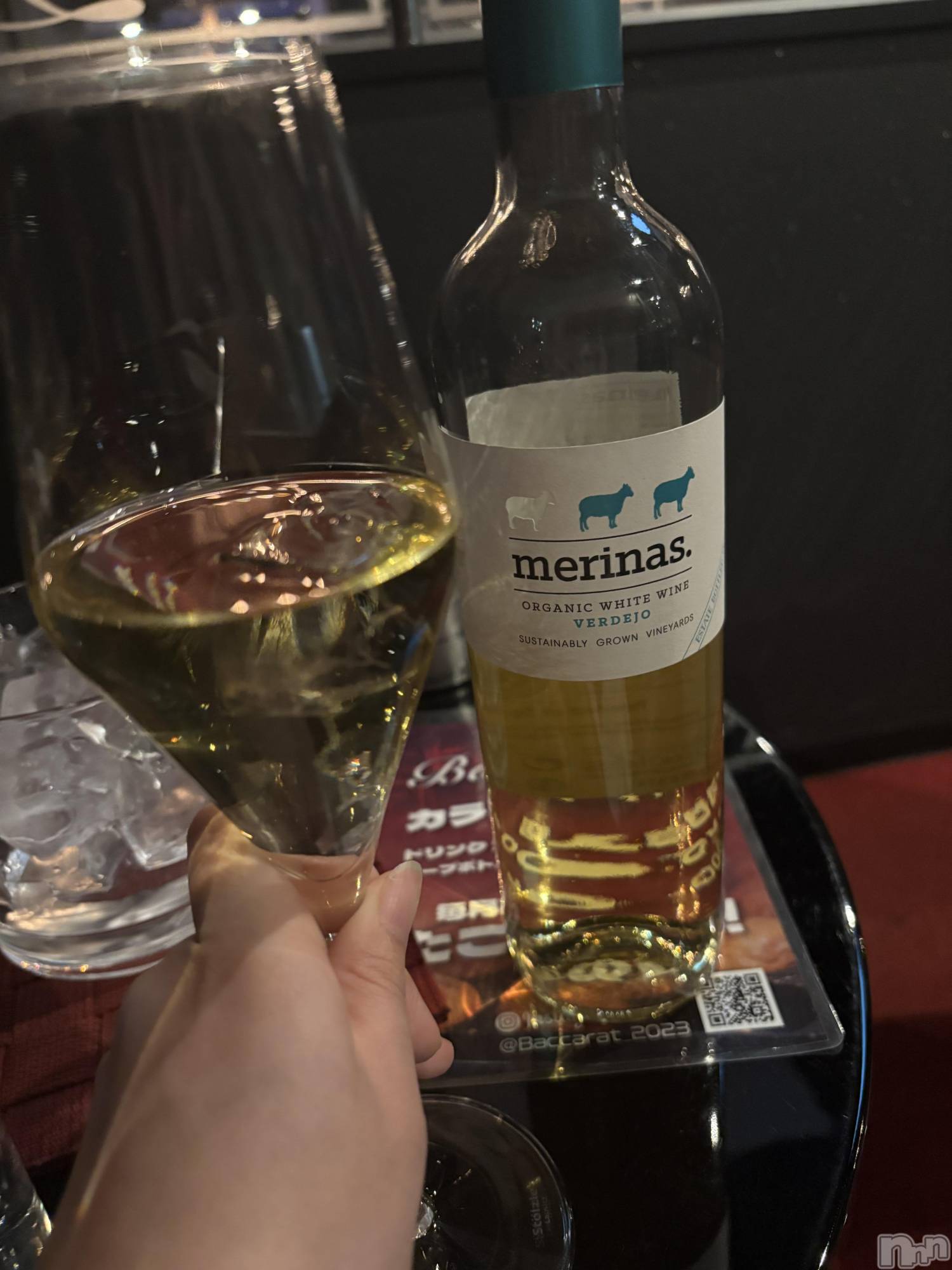 ��Į����Х��顦����֥���� �ץ���� ����(����� �ץ���� ������) ��2026ǯ4��8���̥�֥����ֺ����Ρ���