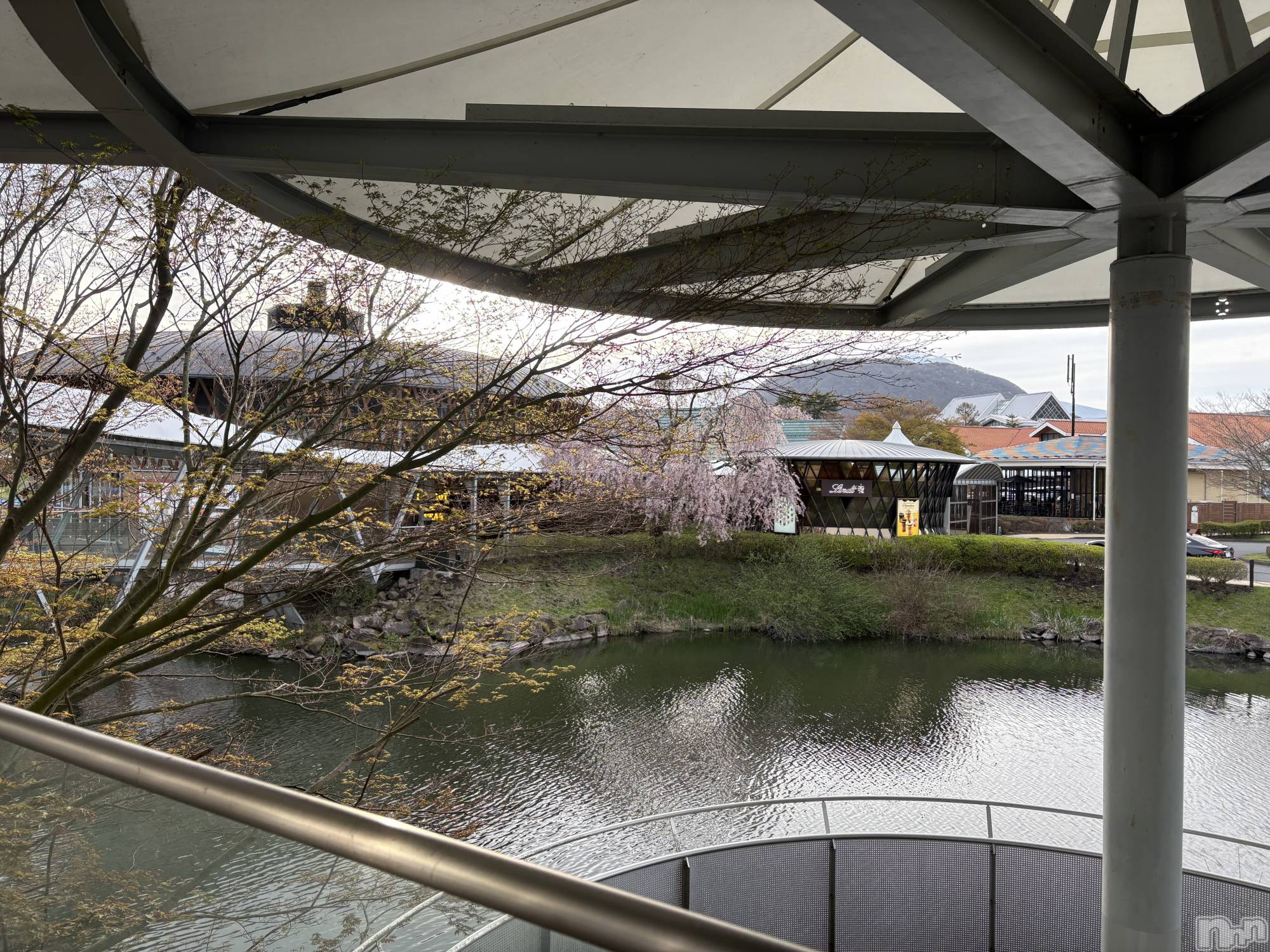 ��Į����Х��顦����֥���� �ץ���� ����(����� �ץ���� ������) ��2026ǯ4��24���̥�֥�����4��24�� 23��35ʬ�Υ֥�����