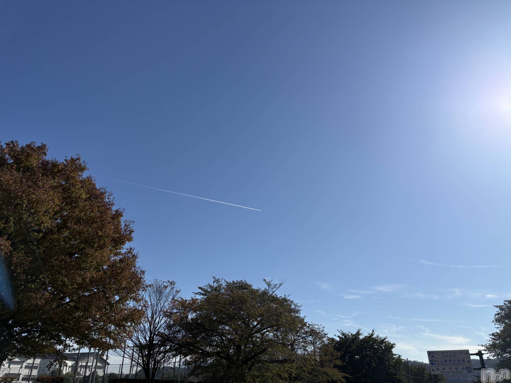 ��Į����Х��顦����֥���� �ץ���� ����(����� �ץ���� ������) ��2026ǯ10��17���̥�֥����֤�ä��㤤������