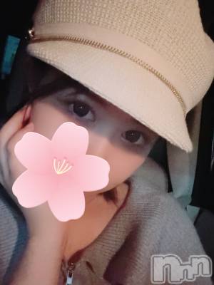 ĮХ顦֥ ץ ( ץ ) (22)51ֿ̥֥˹👒