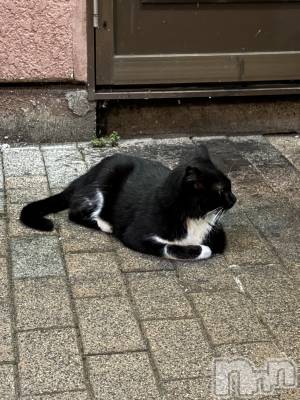 ĮХ顦֥ ץ ( ץ ) (22)815̥֥֥ͥ🐈‍⬛💕