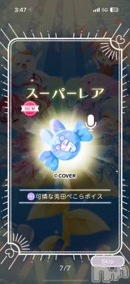 ĮХ顦֥ ץ ( ץ ) (22)126̥֥ǰΰ