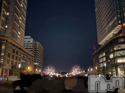 ��Į����Х��顦����֥���� �ץ���� ����(����� �ץ���� ������) �������������(22)��12��14���̥�֥����֤��줤�ʷʿ�👀✨��