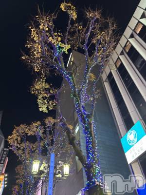 ��Į����Х��顦����֥���� �ץ���� ����(����� �ץ���� ������) �������������(22)��12��15���̥�֥����ֿ��ɡ���