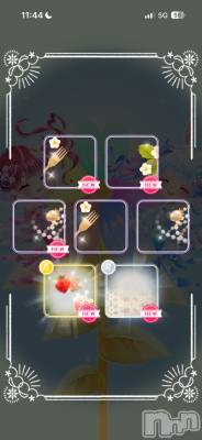 ��Į����Х��顦����֥���� �ץ���� ����(����� �ץ���� ������) �������������(23)��12��27���̥�֥�����10Ϣ�ǽФ�✨��