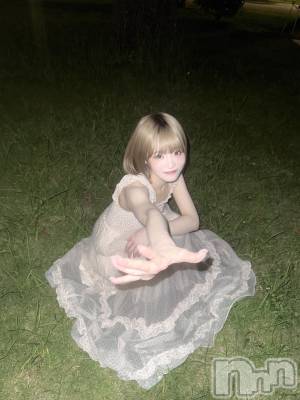 ��Į����Х��顦����֥���� �ץ���� ����(����� �ץ���� ������) �������������(23)��12��31���̥�֥�����‎🤍���Ť�‎🤍���꤬�Ȥ�‎��