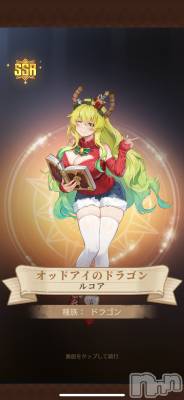 ��Į����Х��顦����֥���� �ץ���� ����(����� �ץ���� ������) �������������(23)��1��3���̥�֥����ֿ��������🥹��