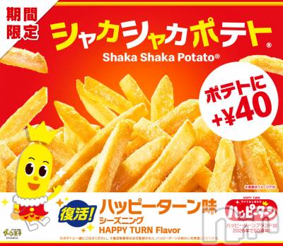 ��Į����Х��顦����֥���� �ץ���� ����(����� �ץ���� ������) �������������(23)��1��4���̥�֥����֥ϥåԡ�������̣😳��