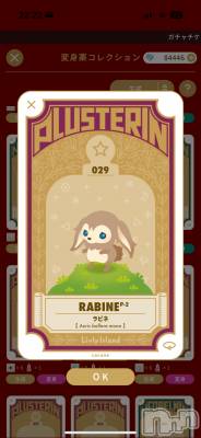 ��Į����Х��顦����֥���� �ץ���� ����(����� �ץ���� ������) �������������(23)��1��14���̥�֥����֤�����(՞ ܸ. .ܸ՞)��