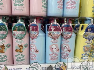 ��Į����Х��顦����֥���� �ץ���� ����(����� �ץ���� ������) �������������(23)��2��5���̥�֥����֤���㤫��‪🫶��