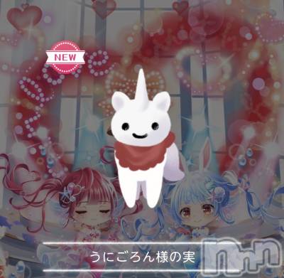 ��Į����Х��顦����֥���� �ץ���� ����(����� �ץ���� ������) �������������(23)��2��27���̥�֥����֤��襤����