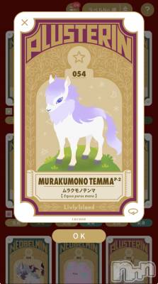 ��Į����Х��顦����֥���� �ץ���� ����(����� �ץ���� ������) �������������(23)��3��3���̥�֥������ѿ�������