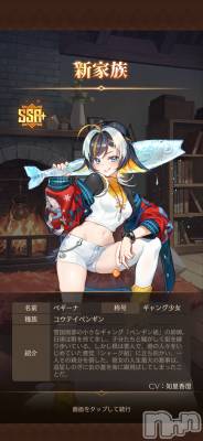 ��Į����Х��顦����֥���� �ץ���� ����(����� �ץ���� ������) �������������(23)��3��6���̥�֥����ֿ�������?��