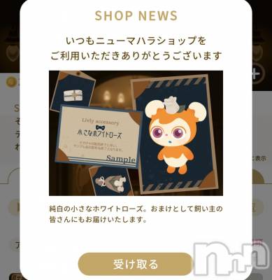 ��Į����Х��顦����֥���� �ץ���� ����(����� �ץ���� ������) �������������(23)��3��8���̥�֥����֥ץ쥼���- ̗̀🎁 ̖́-��