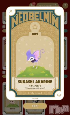 ��Į����Х��顦����֥���� �ץ���� ����(����� �ץ���� ������) �������������(23)��3��19���̥�֥����֤��襤����