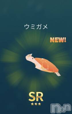 ��Į����Х��顦����֥���� �ץ���� ����(����� �ץ���� ������) �������������(23)��3��22���̥�֥����ֶ⿧����🥚��