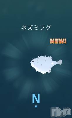 ��Į����Х��顦����֥���� �ץ���� ����(����� �ץ���� ������) �������������(23)��3��23���̥�֥�����̾���Ф���