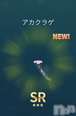 ��Į����Х��顦����֥���� �ץ���� ����(����� �ץ���� ������) �������������(23)��3��24���̥�֥����֤��襤����