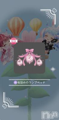 ��Į����Х��顦����֥���� �ץ���� ����(����� �ץ���� ������) �������������(23)��3��25���̥�֥����֤����