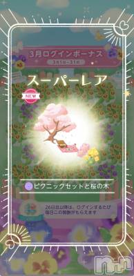 ��Į����Х��顦����֥���� �ץ���� ����(����� �ץ���� ������) �������������(23)��3��27���̥�֥����֥����ܽ���ä�����