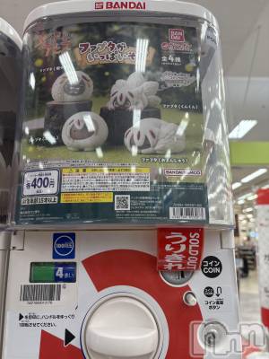 ��Į����Х��顦����֥���� �ץ���� ����(����� �ץ���� ������) �������������(23)��3��30���̥�֥����֤����