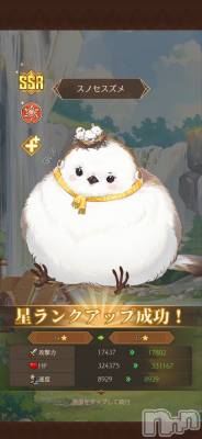 ��Į����Х��顦����֥���� �ץ���� ����(����� �ץ���� ������) �������������(23)��4��3���̥�֥����ֶ����ʤä�����