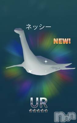 ��Į����Х��顦����֥���� �ץ���� ����(����� �ץ���� ������) �������������(23)��4��5���̥�֥����֤��襤����