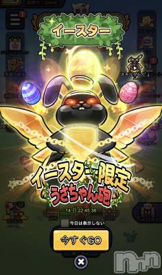 ��Į����Х��顦����֥���� �ץ���� ����(����� �ץ���� ������) �������������(23)��4��5���̥�֥����֥������������٥��🥚��