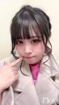 ���ȥ쥹ȯ������