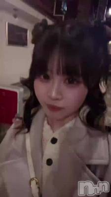 ����Ǥ���