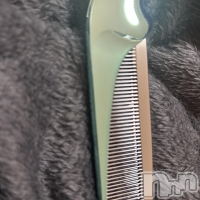 ����� �ץ���� ����