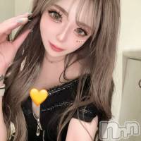 ĮХ顦 CLUB MIMOSA(֥ߥ⥶) 轳β(2)