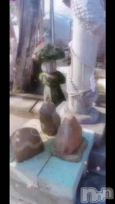 🐍🧧狼ޤ🐉⛩️