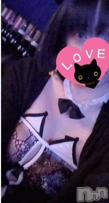 ǭ(29) Ĺ155cmĮС㤭 㤭Уʣ(㥭Х)ҡ