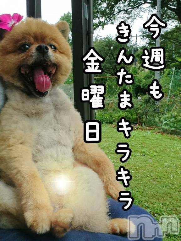 長岡デリヘル奥様特急 長岡店(オクサマトッキュウナガオカテン) そよか(40)の4月18日写メブログ「きんたまキラキラ金曜日」