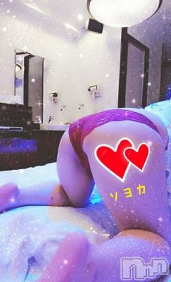 長岡デリヘル 奥様特急 長岡店(オクサマトッキュウナガオカテン) そよか(40)の3月7日写メブログ「おやすみー」