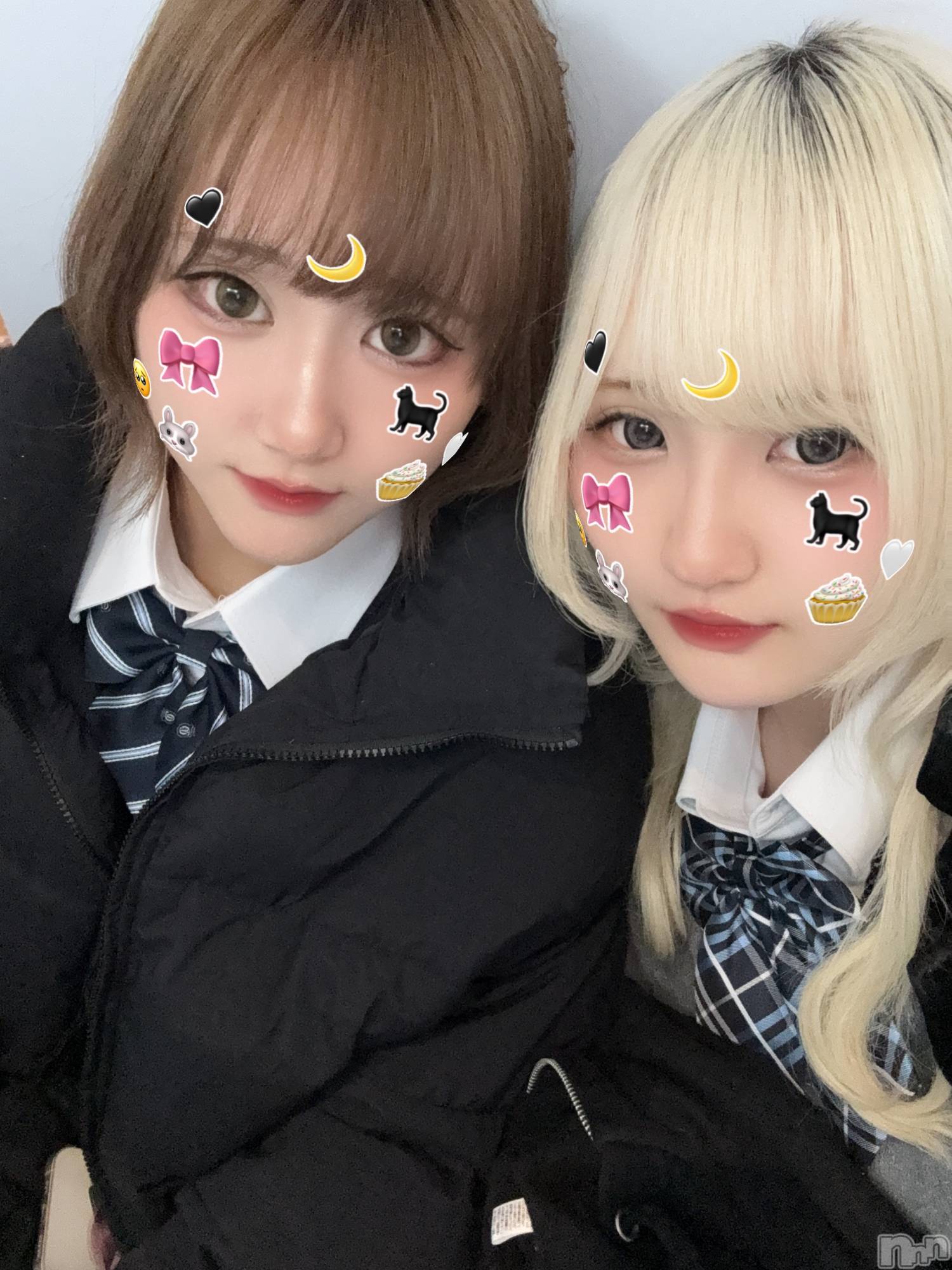 ʥå륺С󥻥ץȥե̴Ѷ~̤⤷ʤ¤~(󥻥ץȥեߥϥ祦) 2025ǯ411̥֥֤ޤȥǡȤƤ🫶