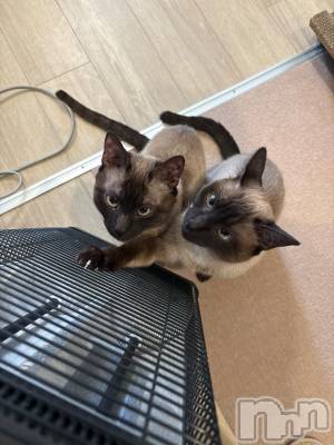 ʥå륺С󥻥ץȥե̴Ѷ~̤⤷ʤ¤~(󥻥ץȥեߥϥ祦) ʤ(20)115̥֥֤äߤ⛄️