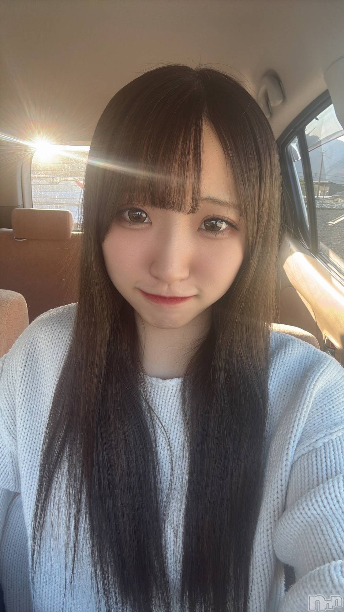 ƲХ顦151-A() 2025ǯ44̥֥ȱŤޤ🐈‍⬛⸒⸒⸒⸒🐾❤︎