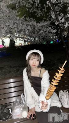 ƲХ顦151-A() 椢(21)416ֲ̥֥֤Ļ🌸🍡