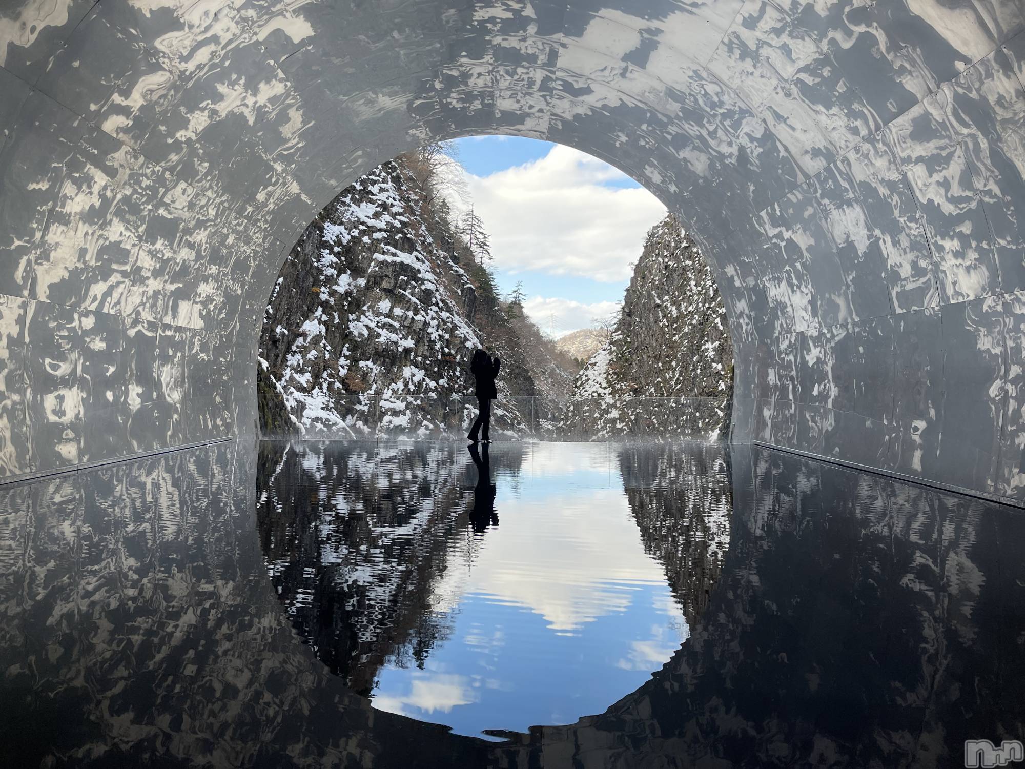 Х顦Blanc (֥) 2025ǯ129̥֥🩵🐬🐳