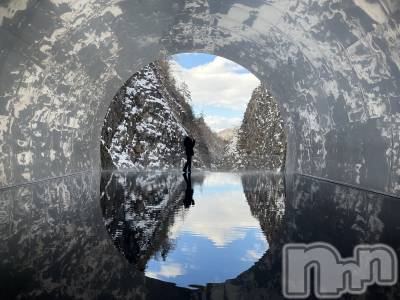 Х顦Blanc (֥) 椦129̥֥🩵🐬🐳